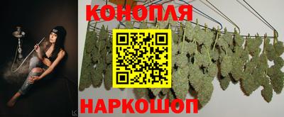 спиды Кандалакша