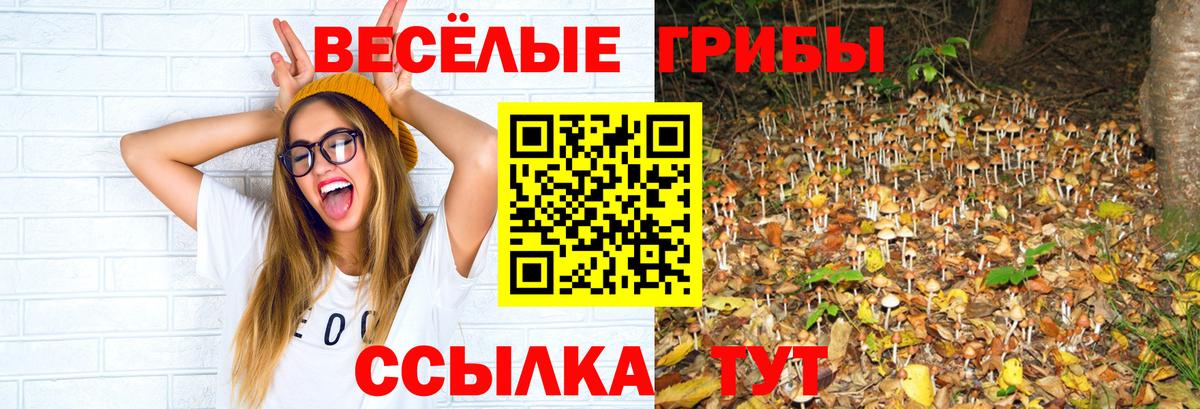 Кубинка  Псилоцибиновые грибы Psilocybe  Вход с VPN  что такое наркотик  Псилоцибиновые грибы ЛСД 