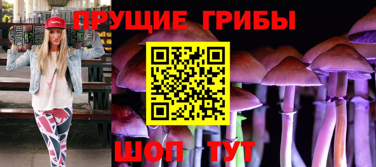 Галлюциногенные грибы прущие грибы Кубинка